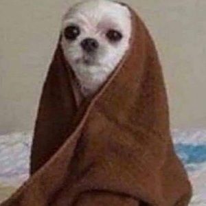 Meet your Posher, Sky